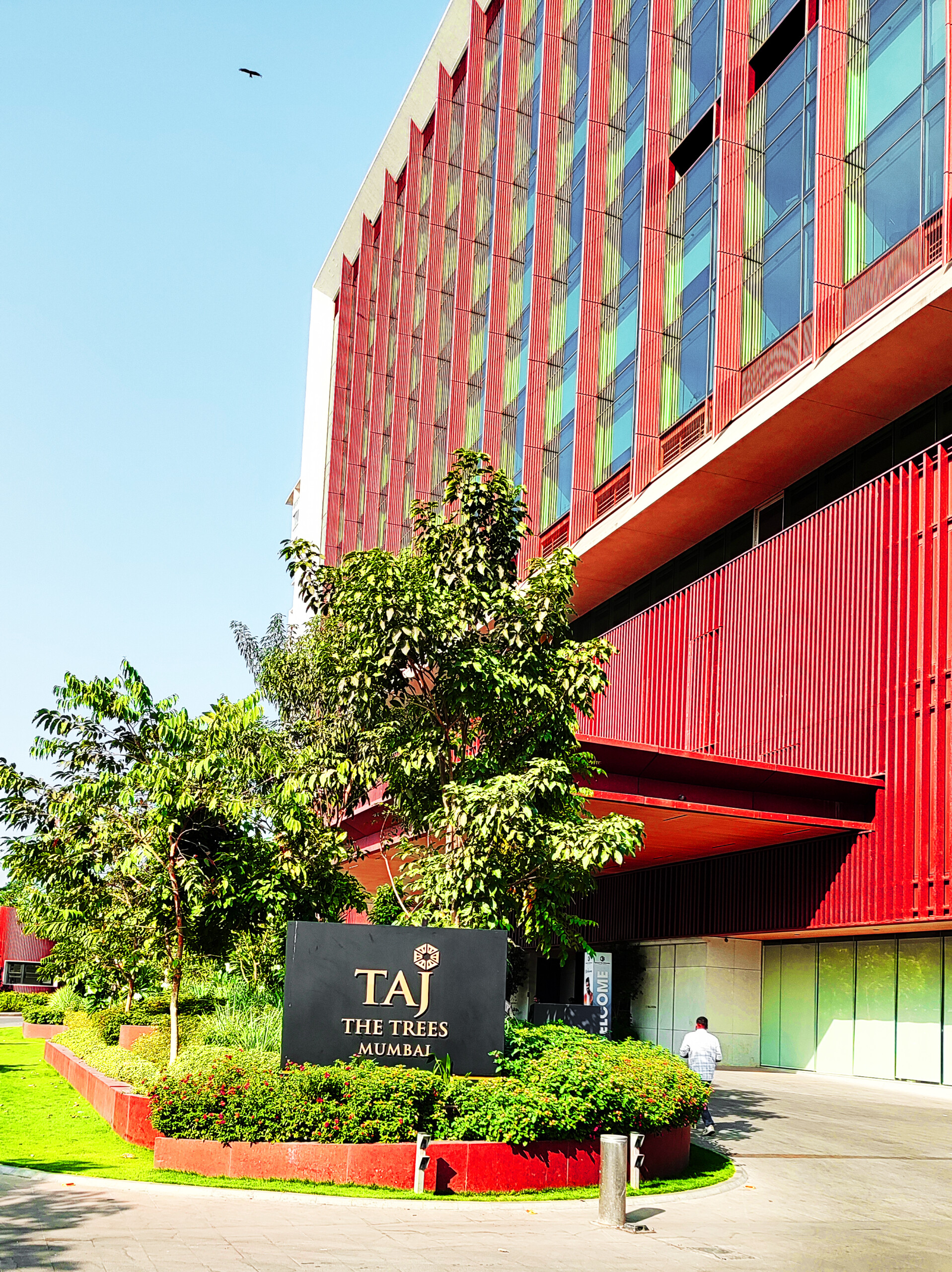 IMG_20240412_085813_2